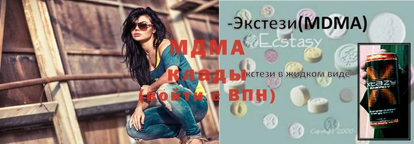 индика Алексин
