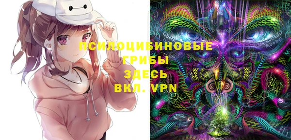 индика Алексин