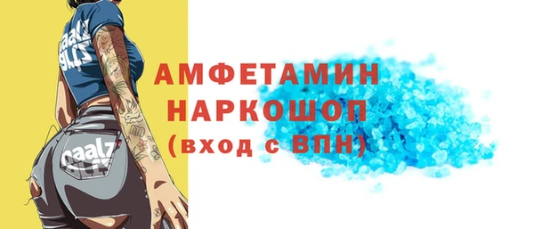 индика Алексин