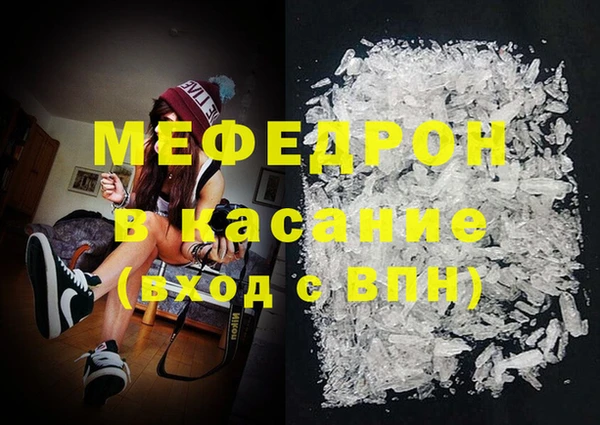 индика Алексин