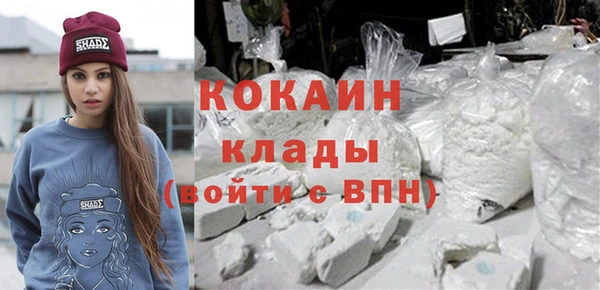 индика Алексин