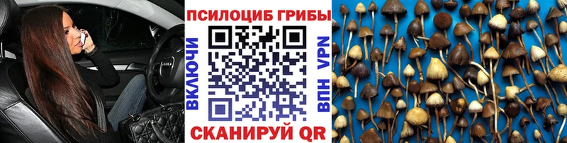 Псилоцибиновые грибы Cubensis  мориарти формула  Дмитриев  где найти наркотики 